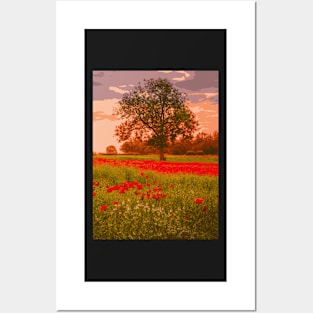 Red Poppy Spot - Landscape Posters and Art